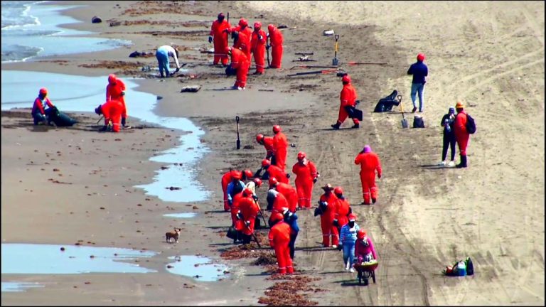 Recolectan en playas de Veracruz y Tabasco 91 toneladas de residuos impregnados con hidrocarburos